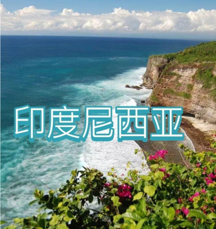 国国际电商(印尼)产业博览会冰球突破爆百万大奖2025中(图3) 国国际电商(印尼)产业博览会冰球突破爆百万大奖2025中(图3)