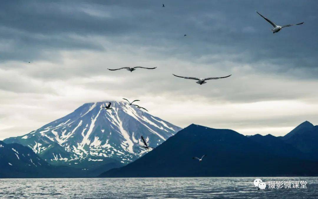 岛棕熊捕鱼、白令海峡寻拍鲸鱼及自然风光专业摄影团冰球突破网站【远东探险丨勘察加】7月野性堪察加半(图3)